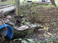 20251018_134046 (1024x768).jpg